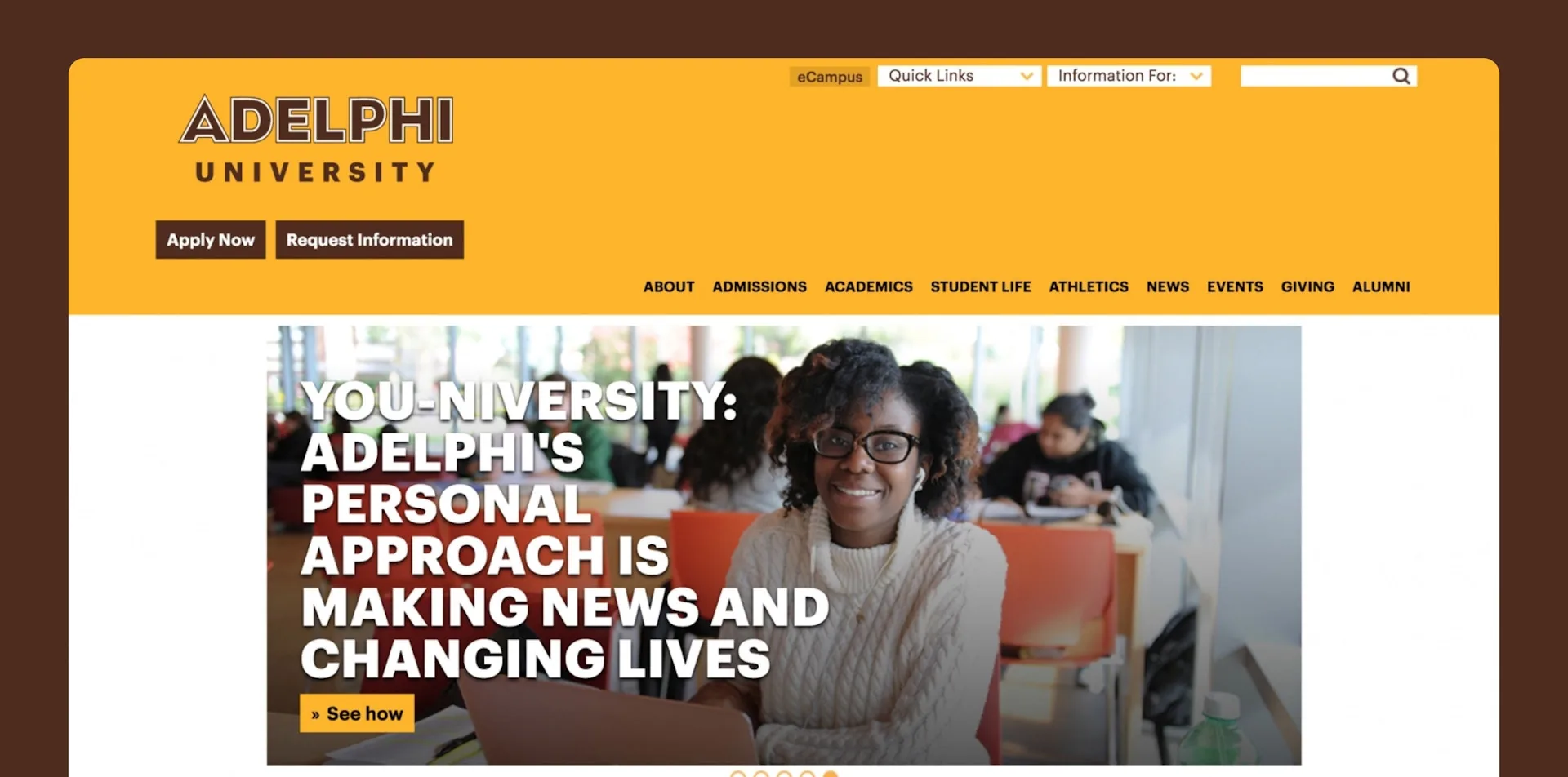 Adelphi University campaign work